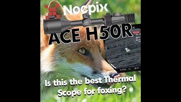 Is this the Best Thermal Scope for Foxing? - NocPix Ace H50R #thermalscope
