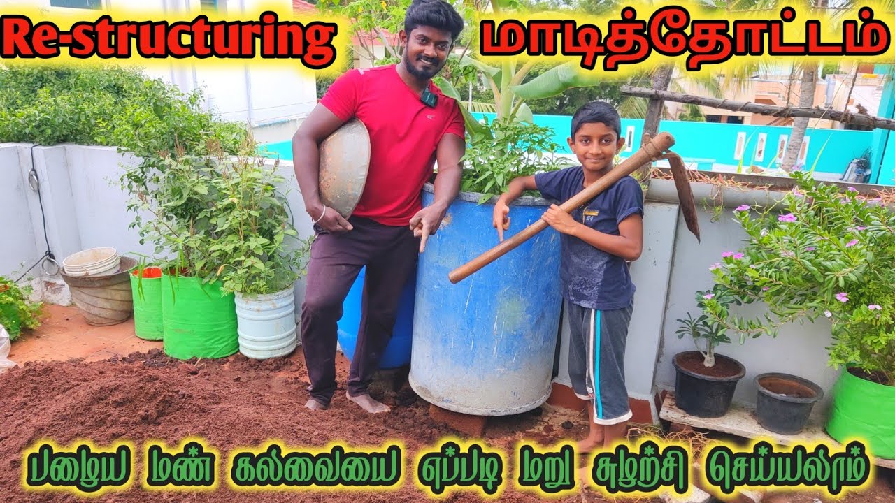 Re-Structuring RK Pattarai மாடித்தோட்டம் | பழைய மண் கலவையை மீண்டும் உயிரூட்டுவது எப்படி | Re-Potting