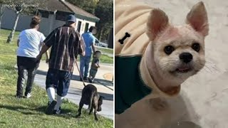 Police looking for dog and owner after deadly attack at Bay Area park
