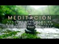 Meditación MINDFULNESS para Acallar Pensamientos Incesantes, Tener CLARIDAD y Sentir PAZ INTERIOR