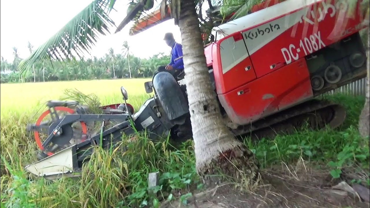 MÁY CẮT LÚA KUBOTA DC 108X ĐỜI 2025 CHẠY CÓ KHÁC QUÁ NGỌT