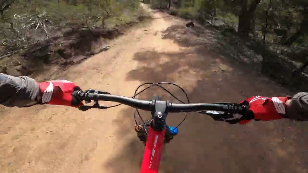 YOUIES - CRESSY'S - 2.41 (PB) - AUG 2025