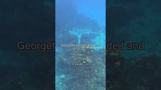 Hidden Gems Travelers Are Raving About #Shorts