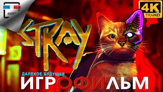 видео: STRAY Игрофильм КИБЕР КОТ 4K60FPS Сюжет Фантастика картинка: STRAY Игрофильм КИБЕР КОТ 4K60FPS Сюжет Фантастика