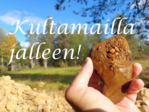 Takaisin kultamailla osa 1 - kaivoin kuopan, löysin kultaa!