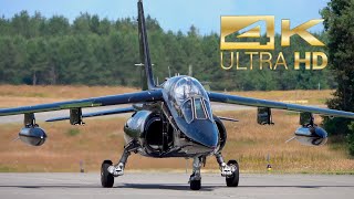 (4K) 2 Dassault Dornier Alpha Jet A Top Aces C-GVTA C-GFTO at Nordholz Airbase ETMN