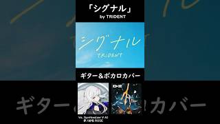 【TABあり】「シグナル」(TRiDENT)ギター&ボカロカバー(feat.夢の結唱ROSE)#Shorts