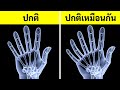 การค้นพบทางวิทยาศาสตร์ที่ทำให้ปี 2019 เป็นปีสุดวิเศษ