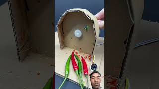 chilli cutting 3 #craft #dcmotor #science #technology #diy #experiment #tech #project