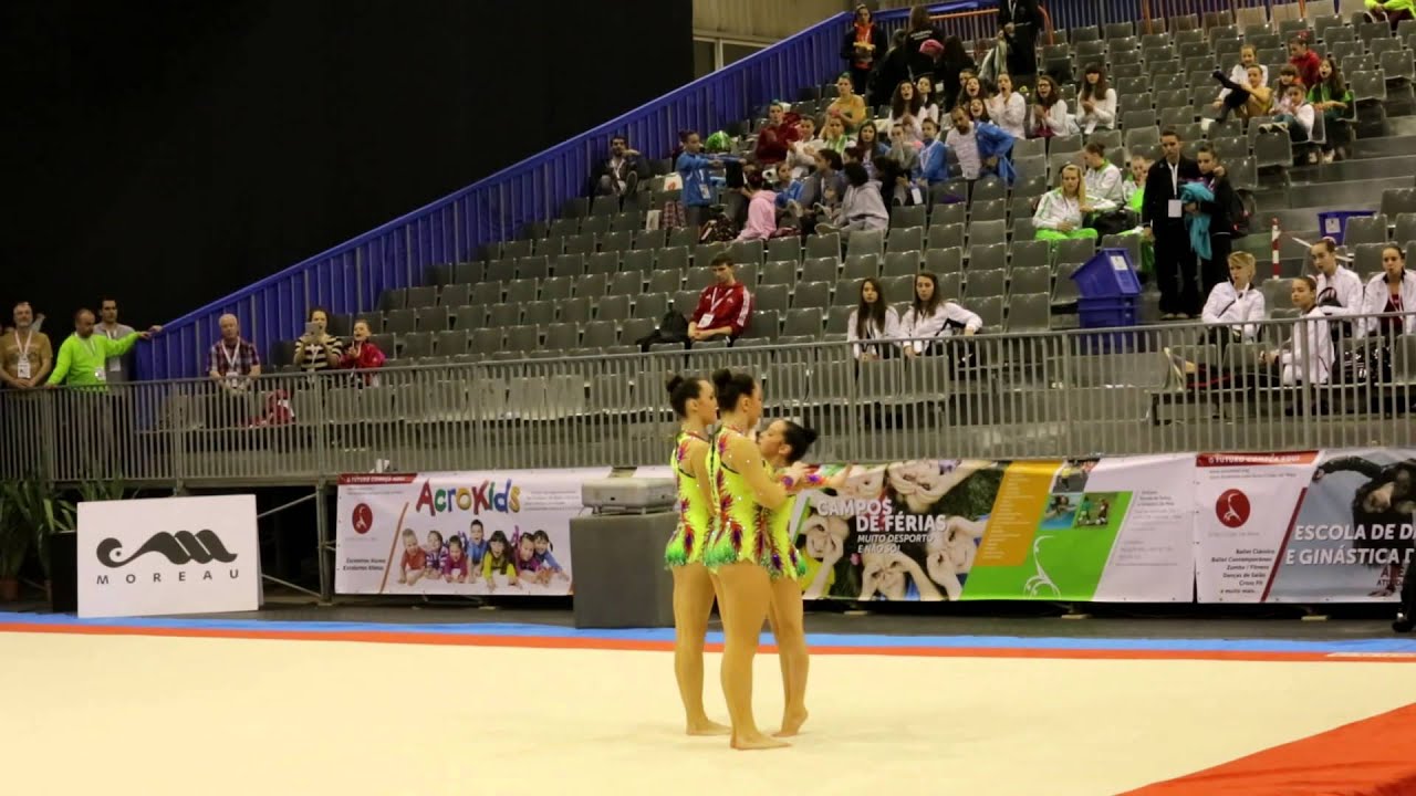 Gymnastics MIAC 2014 AG2 WG Dynamic IRE Carlow