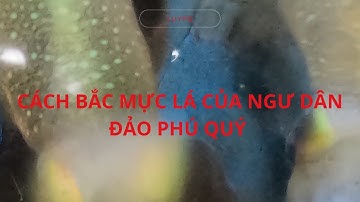 CÁCH BẮC MỰC LÁ CỦA NGƯ DÂN ĐẢO PHÚ QUÝ