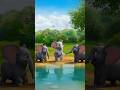 एक हाथी बोला इतर आ 🐘🐘🐘 subscribe me and like #shorts #elephant #cartoon #ai #funny