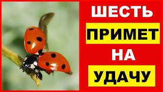 ПРИМЕТЫ НА УДАЧУ / Приметы и Суеверия на УДАЧУ