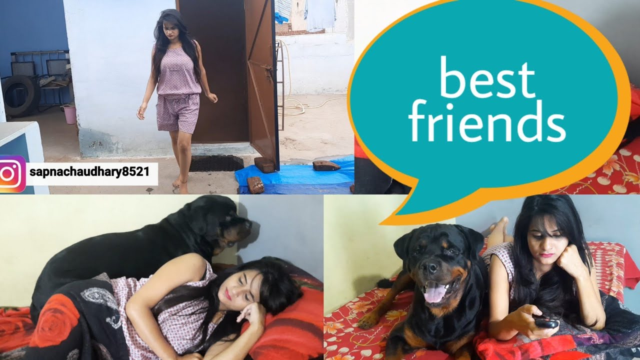 My best friends Jerry || old memories