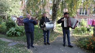 Музики з Ленківців грають музику для хорошого настрою