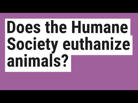 Societatea umană va eutanasia animale?