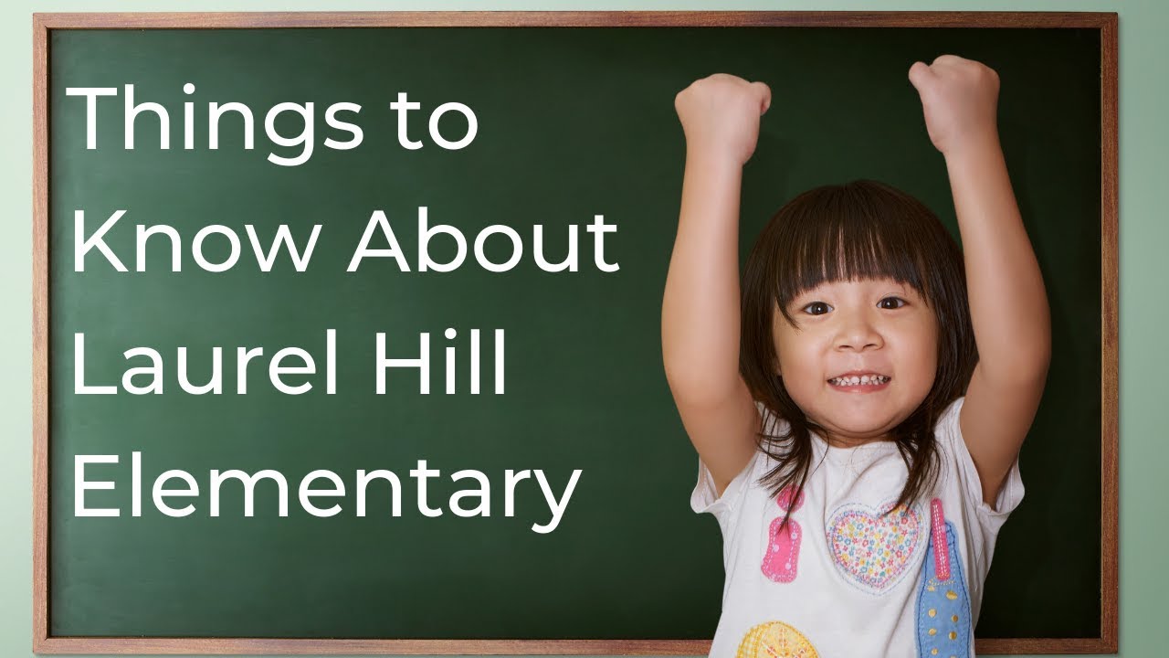 laurel-hill-elementary-fairfax-county-school-review-youtube