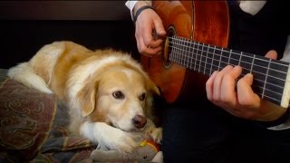 Vignette de la vidéo "Beauty and the Beast - Tale As Old As Time Fingerstyle w/ Guitar Tabs (Trench & Maple)"