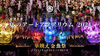 ⭐️ガラスの水族館⭐️箱根ガラス⭐️アクアリウムアート⭐️水泡⭐️ mqdefault.jpg