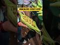 Bangalore Street Food 😋 #food #officefood #officialvideo #viralshorts #visa