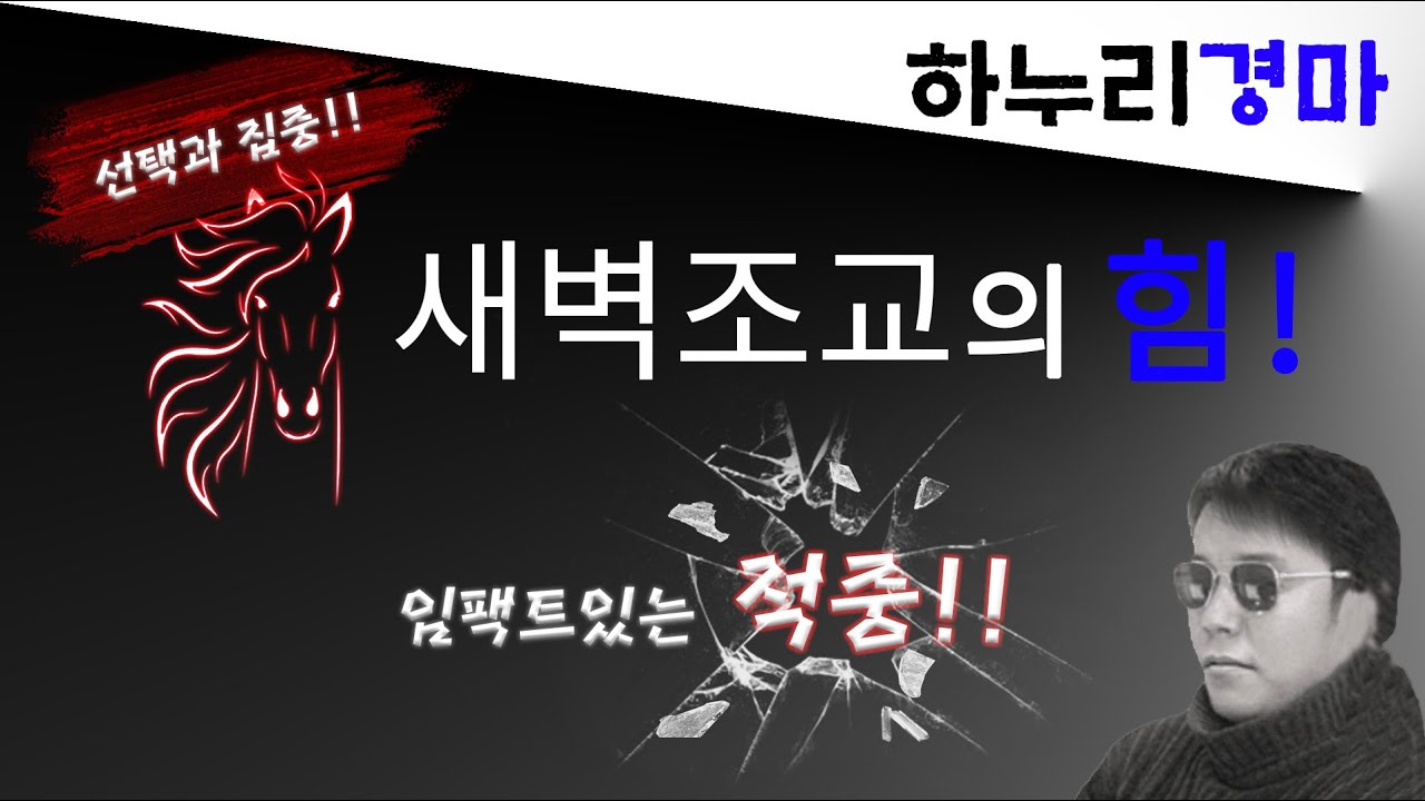 11/29 토요경마 선택과 집중! #하누리경마 #경마 #경마방송 #경마예상가 #경마전문위원