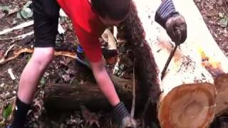 Building a Log Cabin