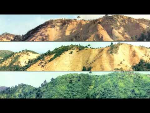 Video: Desertification: Verdens Mest Undervurderede Miljøkrise - Matador Network