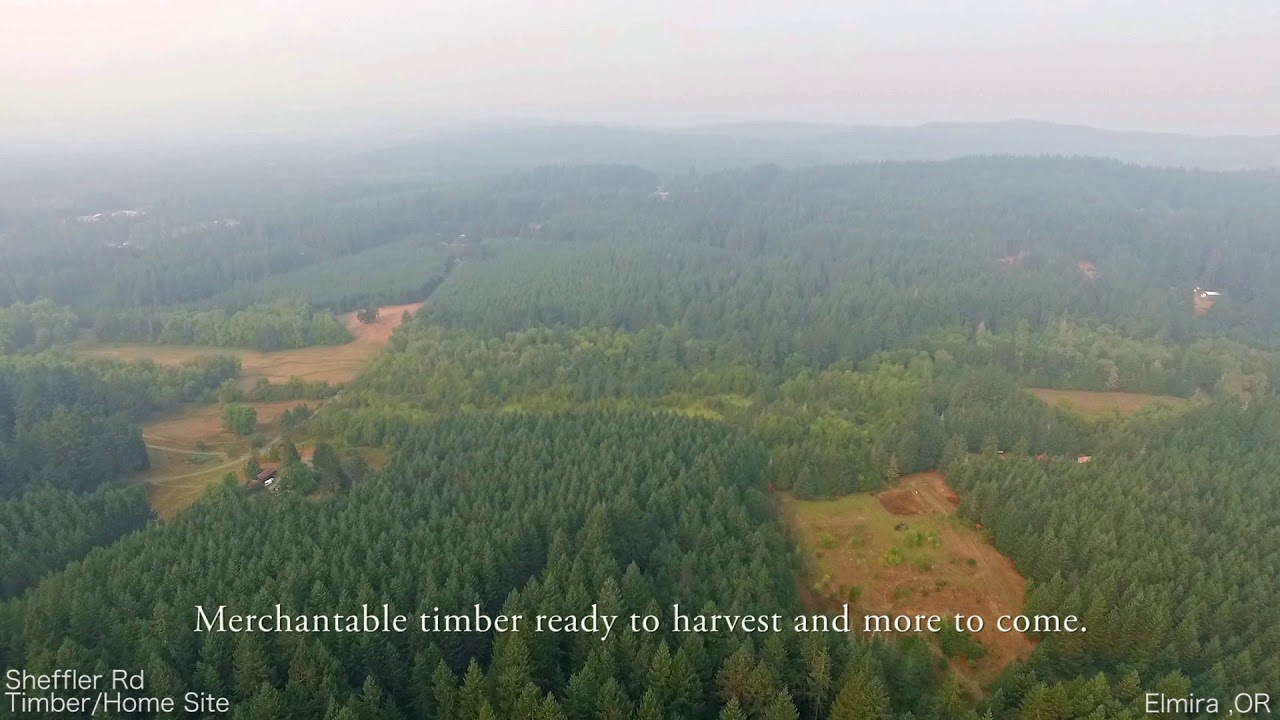 camera iphone 8 plus apk Sheffler Road Timber Investment and Potential Home Site | Southern Oregon Drone