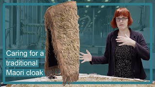 A cloak made of feathers | caring for a traditional Maori taonga