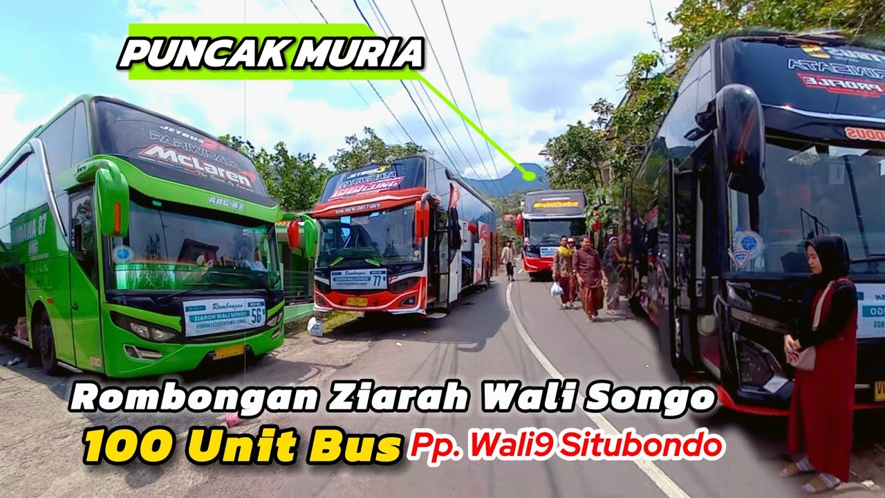 TANJAKAN SUNAN MURIA DI PADATI 100 UNIT BUS PP. WALISONGO MIMBAAN PANJI SITUBONDO