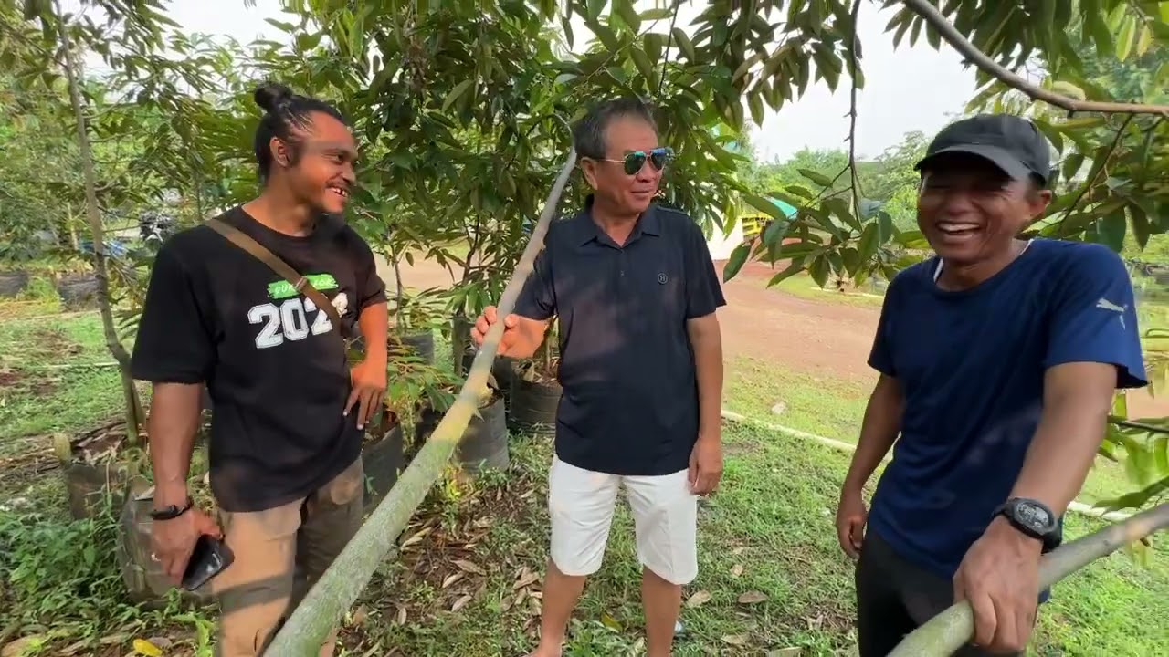 BOLEHKAH DI PACLO ?PEMBAHASAN GENERATIF POHON DURIAN BERSAMA AA KADU