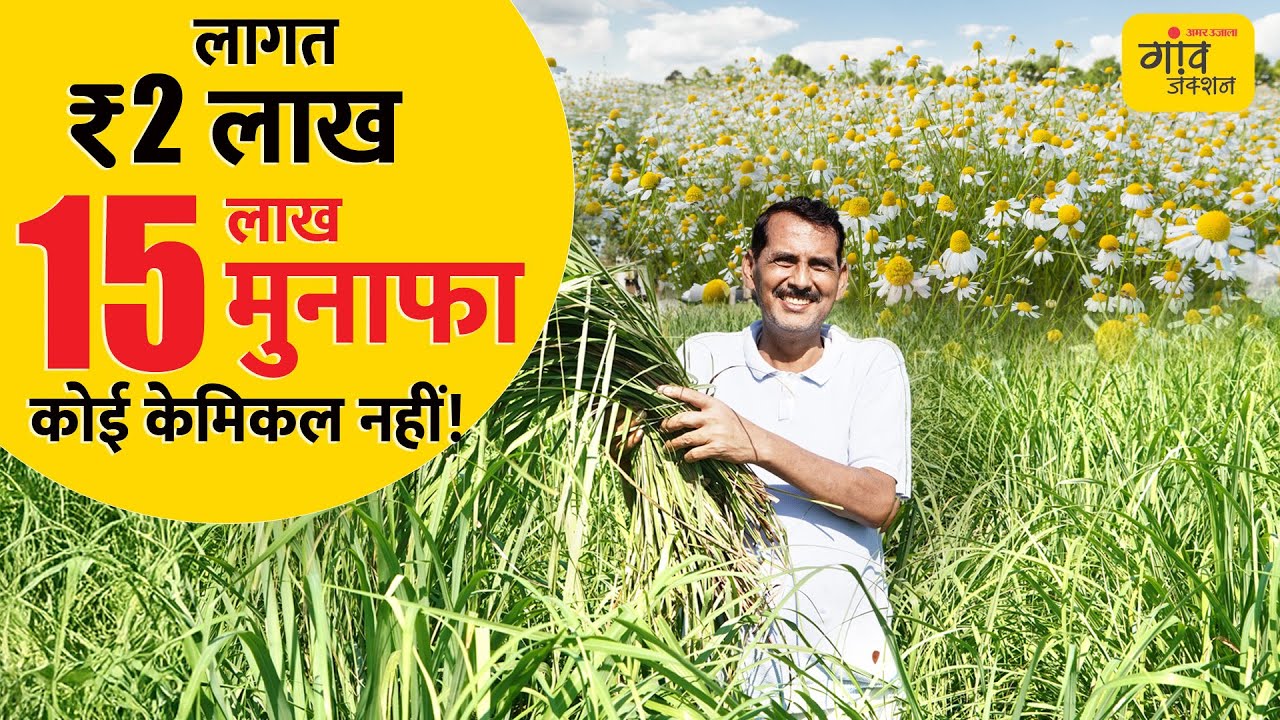 खेती की टेंशन खत्म! बिना रखवाली और बिना दवाई के सालाना ₹15 लाख से ज्यादा कमाई | Gaon Junction LIVE