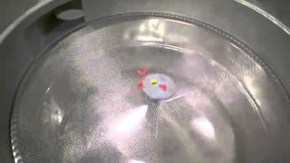 BID ON EQUIPMENT: Item 247268 - 48in SWECO Separator Screener Sifter - Refurbished