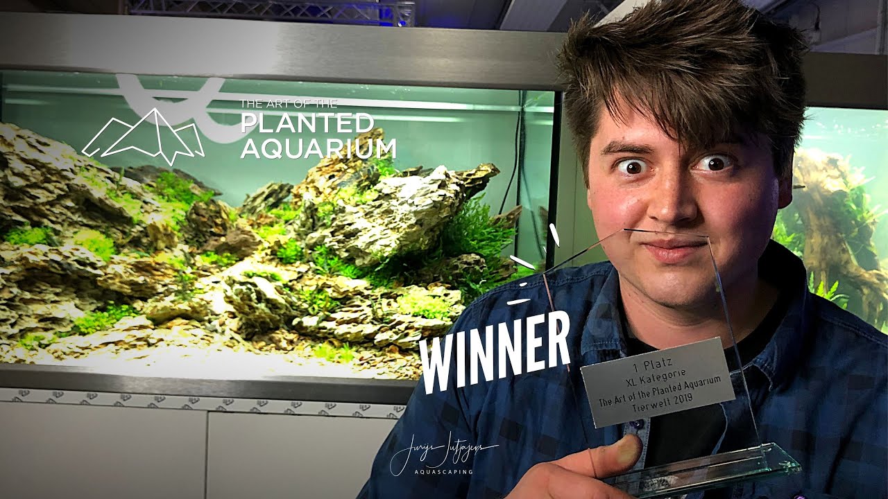 The Art Of The Planted Aquarium - TAOTPA 2019 - Winner XL Category MICHAL ADAMEK