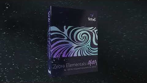 Zebra Elementals: AERA | Introduction