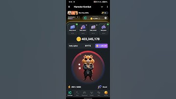 6 August Cipher Code Hamster Combat #hamsterkombat #ciphercodes