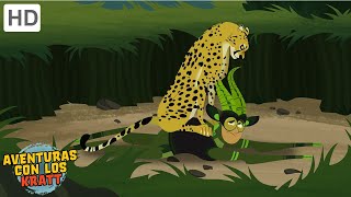Aventuras Con Los Kratt Guepardo Racer Episodio Completo Temporada 1