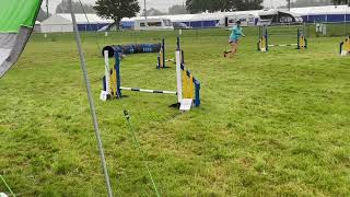 Agility Club Champ Show 25/7/2021 (Ardingly)