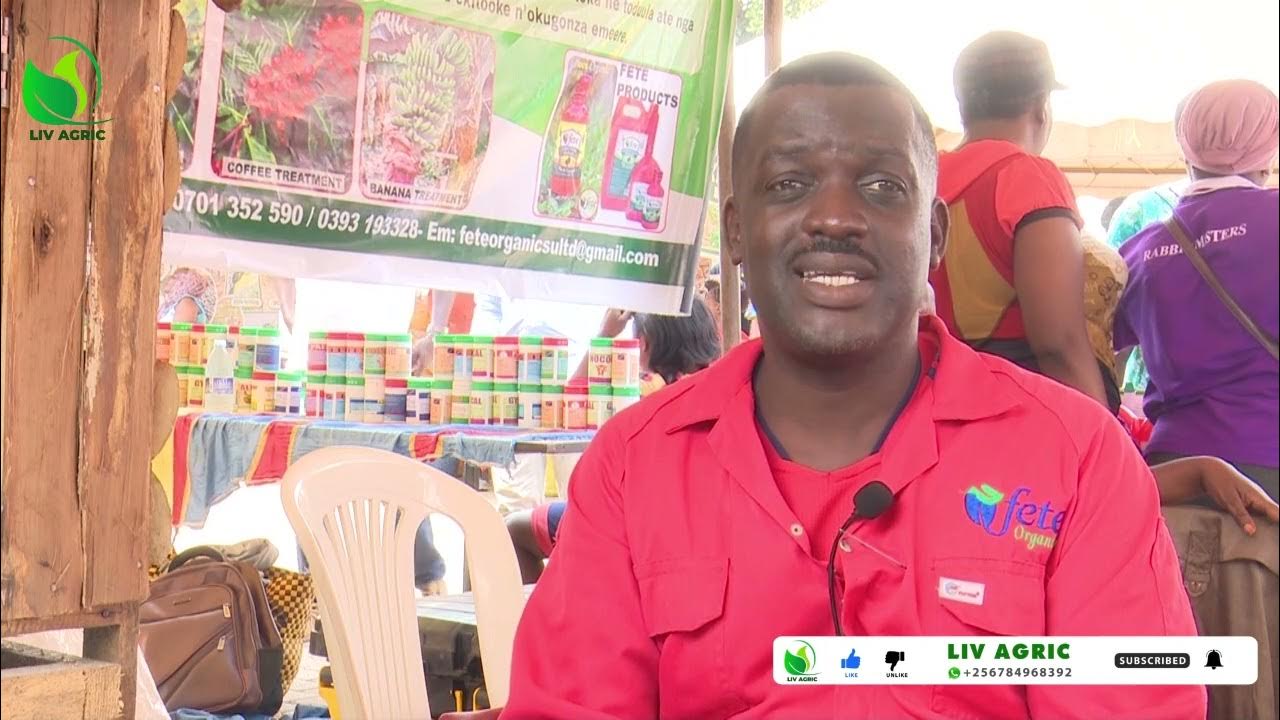 yiga-engeri-gyebajanjaba-mu-ebisolo-nga-okozesa-obutonde-ne-ddungu