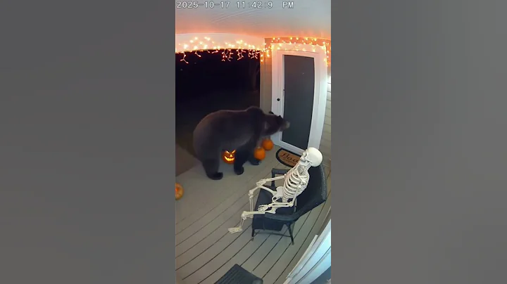 Bear Gets Scared by Halloween Skeleton 😂💀 #gamtng