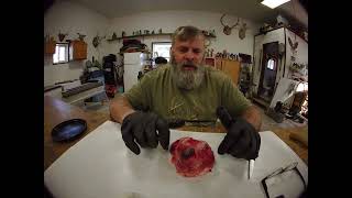 Taking care of beaver castor #1 #beaver #beavertrapping #beavercastor #beaverlure #lure #spring