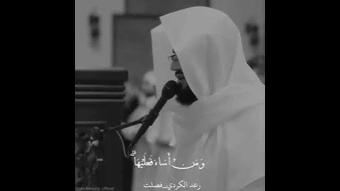 رعد الكردي سوره فصلت