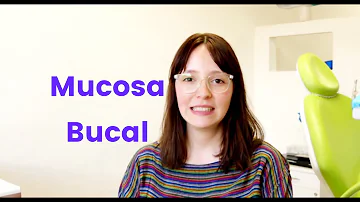 ¿Qué hay en la mucosa bucal?