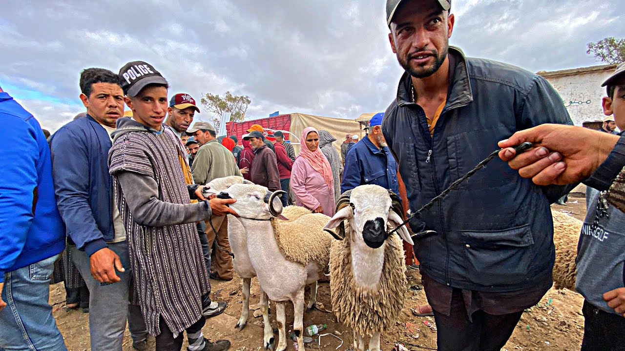 سوق السبت أذويب ثمن حولي صردي العيد الاضحى 15/6/2024 خديت بــيـبـي قدرة شراء الخروف اسبانيا 🇪🇸 500