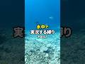 水中で実況する縛りでマリオ3プレイする人 Part2 #shorts