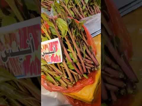 هامور العبر أنيس ألبحري مفرق الوديعة الموقع ارسمي السوق المركزية لايك 