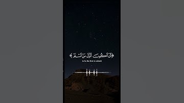 اكتب شيء تؤجر عليه🤍 |سورة الأنعام