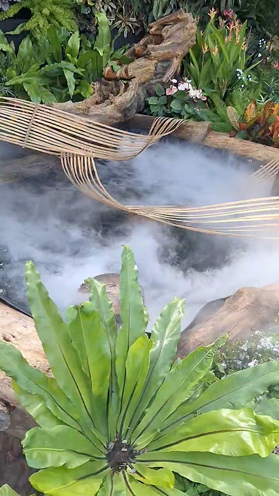 kolam berasap seperti awan tebal di shilin  taiwan #2025 #short #shortvideo