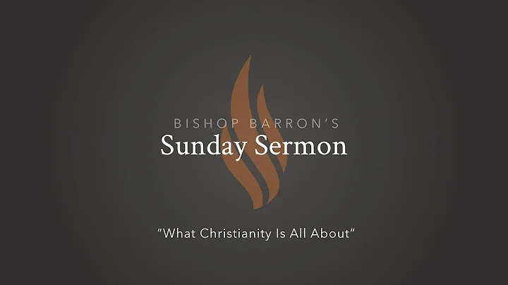 What Christianity Is All About — Bishop Barron’s Sunday Sermon