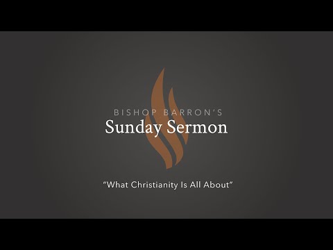 What Christianity Is All About — Bishop Barron’s Sunday Sermon